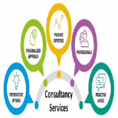 Consultancy Services