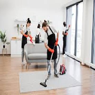 House Cleaner Service