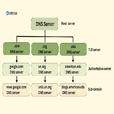 DNS Management Service