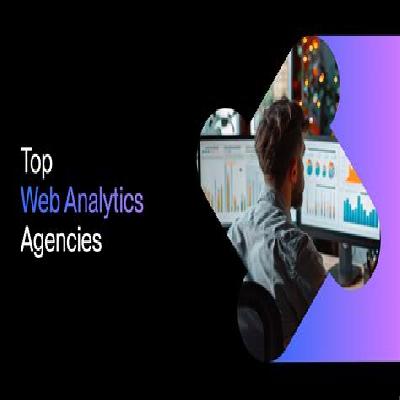 Website Analysis Service