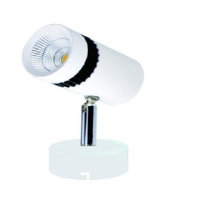 Havlock LED Surface Mounted Light