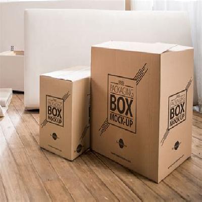 Carton Packaging Box