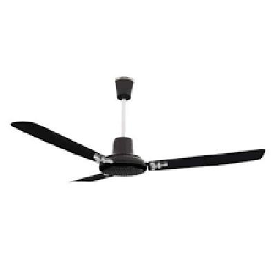 Rio Carnival Ceiling Fan