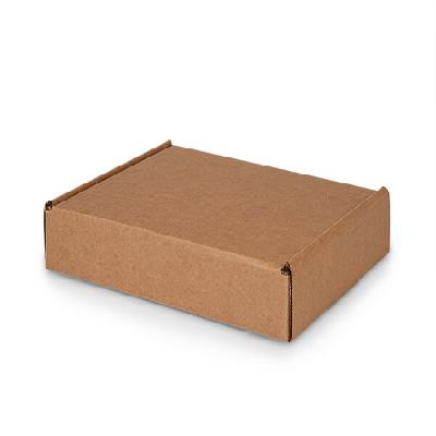 Brown Corrugated Carton Box (Lock Type)