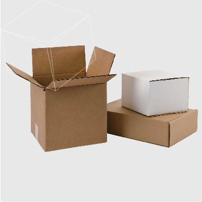 Corrugated Packaging Box