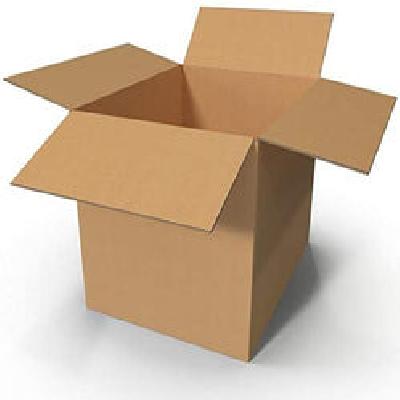 5 Ply Plain Carton Box