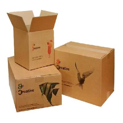 Printed Cartons Box