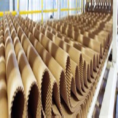 Corrugated Carton Board