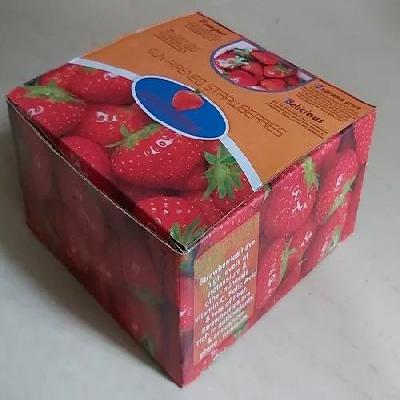 Edible Packaging  Carton Box