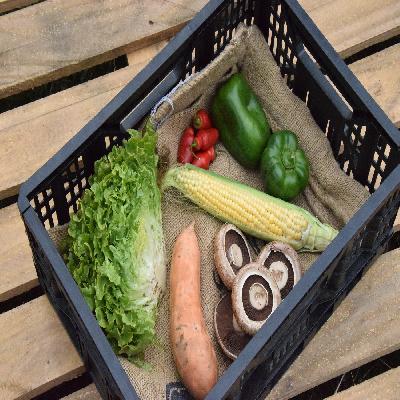 Vegetable Packaging Box