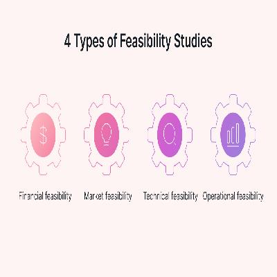 Feasibility Study