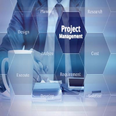 Project Management Services