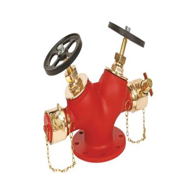Double Valve Fire Hydrant System