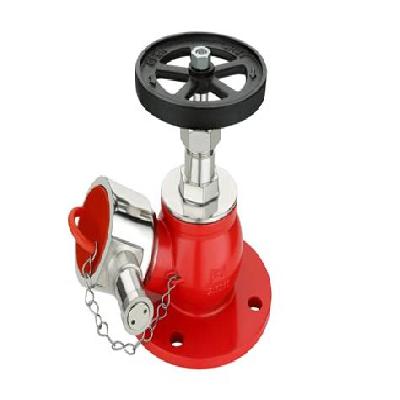 Single Valve Fire Hydrant System