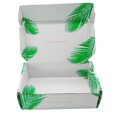 Paper Corrugated Box