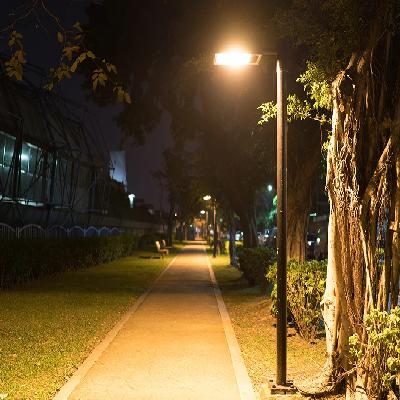 Street Light