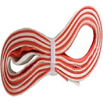 Polyester Composite Strap
