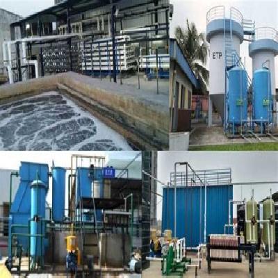 Etp Plants