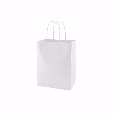 Shopping Plain Paper Bag
