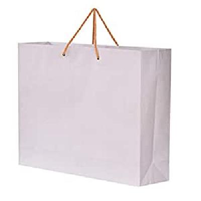 White Plain Paper Carry Bag
