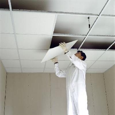 Ceiling Works