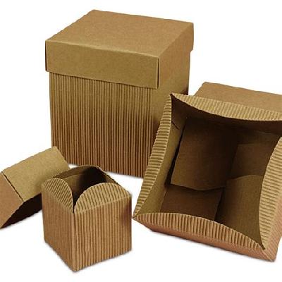 Cardboard Corrugated Box