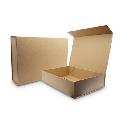 Brown Carton Box