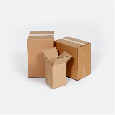 Master Carton Box