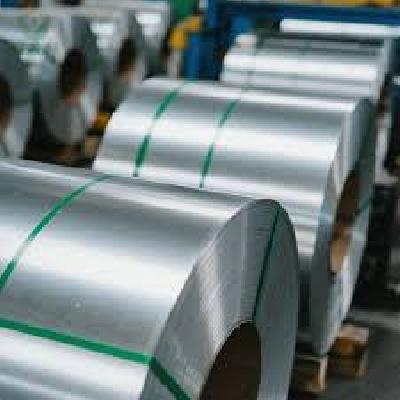 Grain Oriented Thin Gauge Electrical Steels