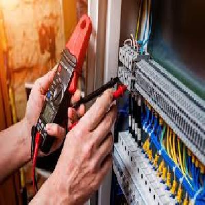 Electric Consultancy Services