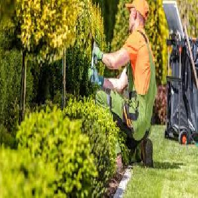 Landscape Services