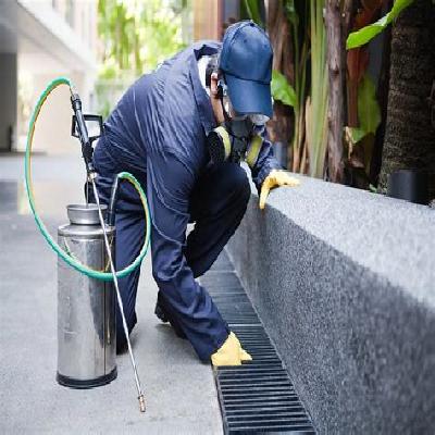 Commercial pest control services