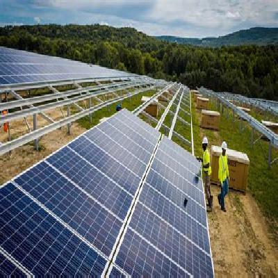 Ground Mount Solar Installation Service