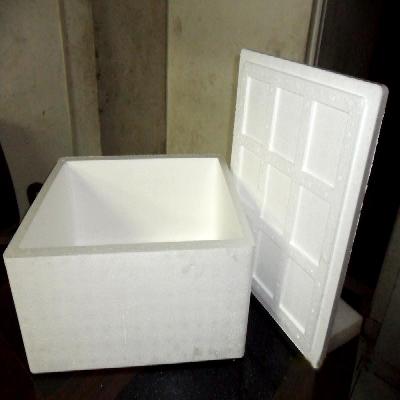 Thermocol Packaging Box