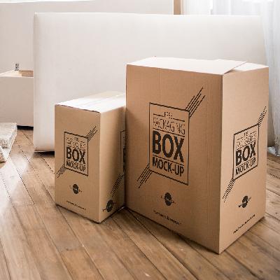 Carton Packaging Box