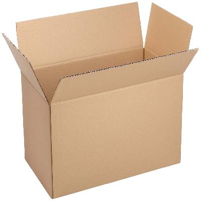 Packaging Carton