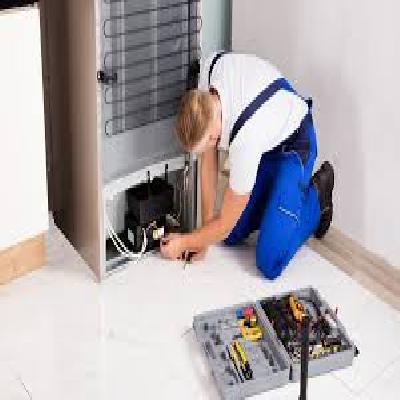Fridge Repair Service