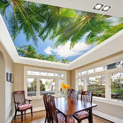 Digital Print Graphic Designer Ceiling