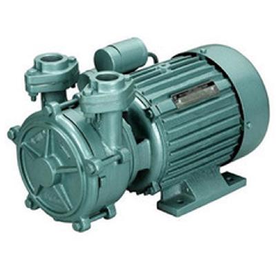 1 Hp Shallow Well Mono Block Pump
