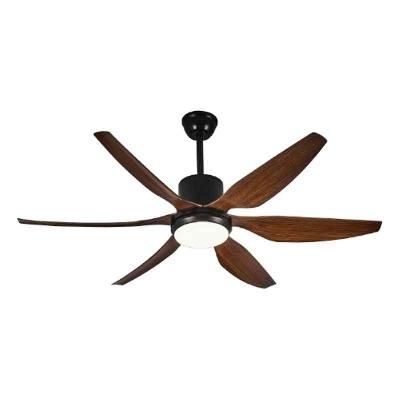 Decorative Ceiling Fan