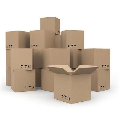 Export Carton Box