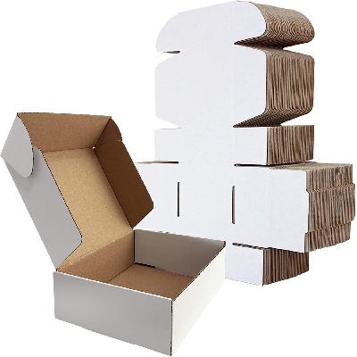 White Corrugated Packaging Box