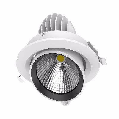 LED Downlight