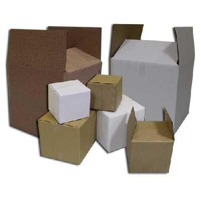 Packaging Mono Carton