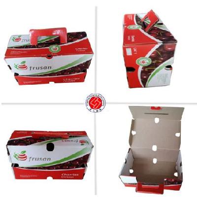 Rectangular Fruit Packaging Box