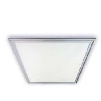 LED 2x1 Luminaire Ceiling Fittings