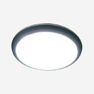 Round LED Ceiling Light