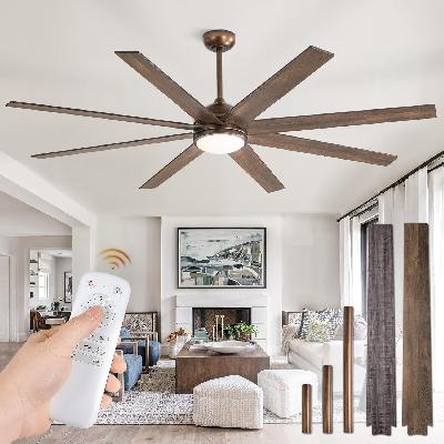 Ceiling Fan