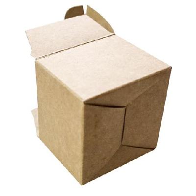 Printed Box Bottom Lock Type