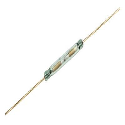 Reed Switch